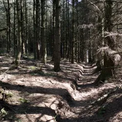 Crompton Moor - Oldham