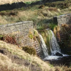 Crompton Moor - Oldham