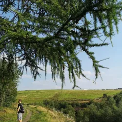 Crompton Moor - Oldham