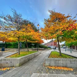 Failsworth Pole - Oldham