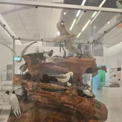 Gallery Oldham - Oldham