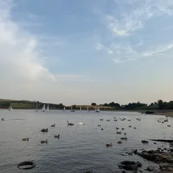 Hollinwood Branch Canal - Oldham