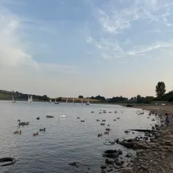 Hollinwood Branch Canal - Oldham