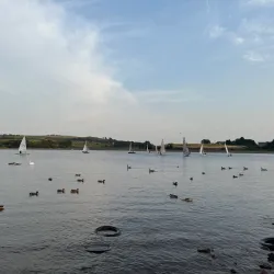 Hollinwood Branch Canal - Oldham