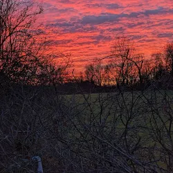 Hollinwood Branch Canal - Oldham