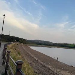 Hollinwood Branch Canal - Oldham