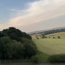 Hollinwood Branch Canal - Oldham