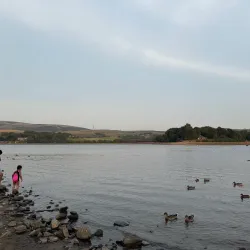 Hollinwood Branch Canal - Oldham