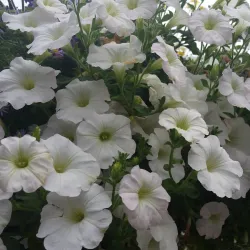 Oldham War Museum - Oldham