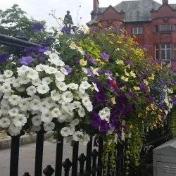 Oldham War Museum - Oldham
