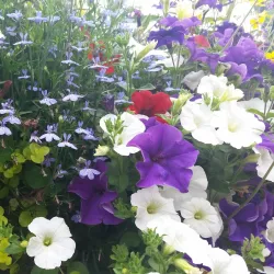 Oldham War Museum - Oldham