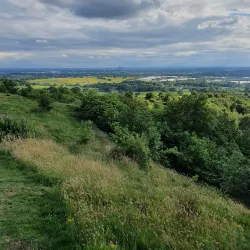 Oldham War Museum - Oldham