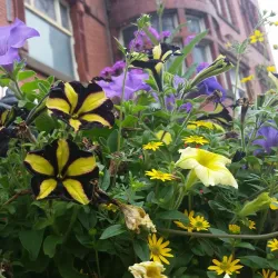 Oldham War Museum - Oldham