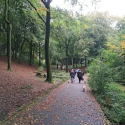 Tandle Hill Country Park - Oldham