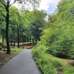 Tandle Hill Country Park - Oldham