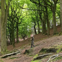 Tandle Hill Country Park - Oldham