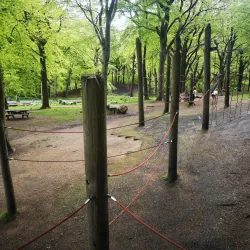 Tandle Hill Country Park - Oldham