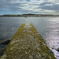 Brough of Birsay - Orkney