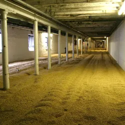 Highland Park Distillery - Orkney