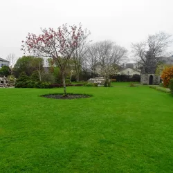 Orkney Museum - Orkney