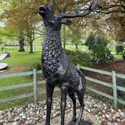 Cae Glas Park - Oswestry