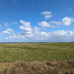Old Oswestry Hillfort - Oswestry