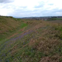 Old Oswestry Hillfort - Oswestry