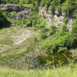 Quarry Park and Nature Reserve - Oswestry