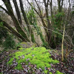 Quarry Park and Nature Reserve - Oswestry
