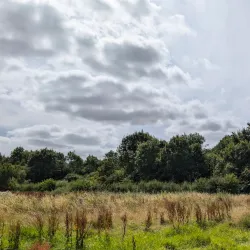 Shropshire Hills Discovery Centre - Oswestry