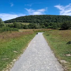 Shropshire Hills Discovery Centre - Oswestry