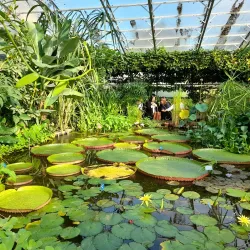 Oxford Botanic Garden - Oxford