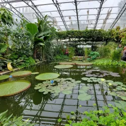 Oxford Botanic Garden - Oxford