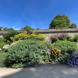 Oxford Botanic Garden - Oxford