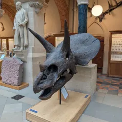 Pitt Rivers Museum - Oxford