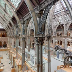 Pitt Rivers Museum - Oxford