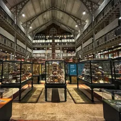 Pitt Rivers Museum - Oxford