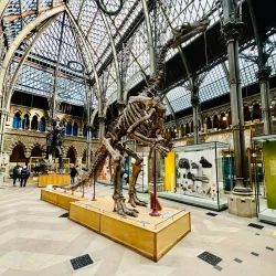 Pitt Rivers Museum - Oxford