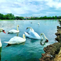 Barshaw Park - Paisley