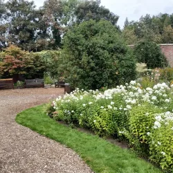 Barshaw Park - Paisley