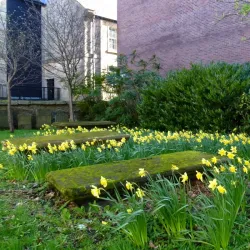 Paisley Arts Centre - Paisley