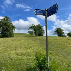 Paisley Canal - Paisley