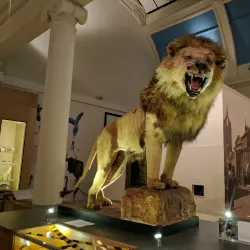 Paisley Museum and Art Galleries - Paisley
