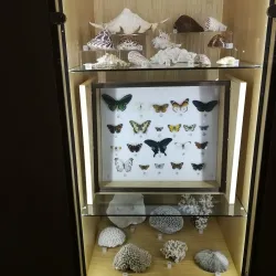 Paisley Museum and Art Galleries - Paisley