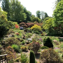 Branklyn Garden - Perth