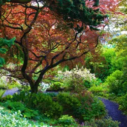 Branklyn Garden - Perth