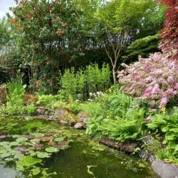 Branklyn Garden - Perth