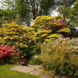 Branklyn Garden - Perth