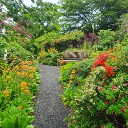 Branklyn Garden - Perth