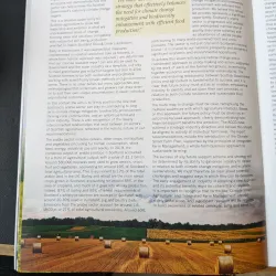 Fair Maid's House - Perth